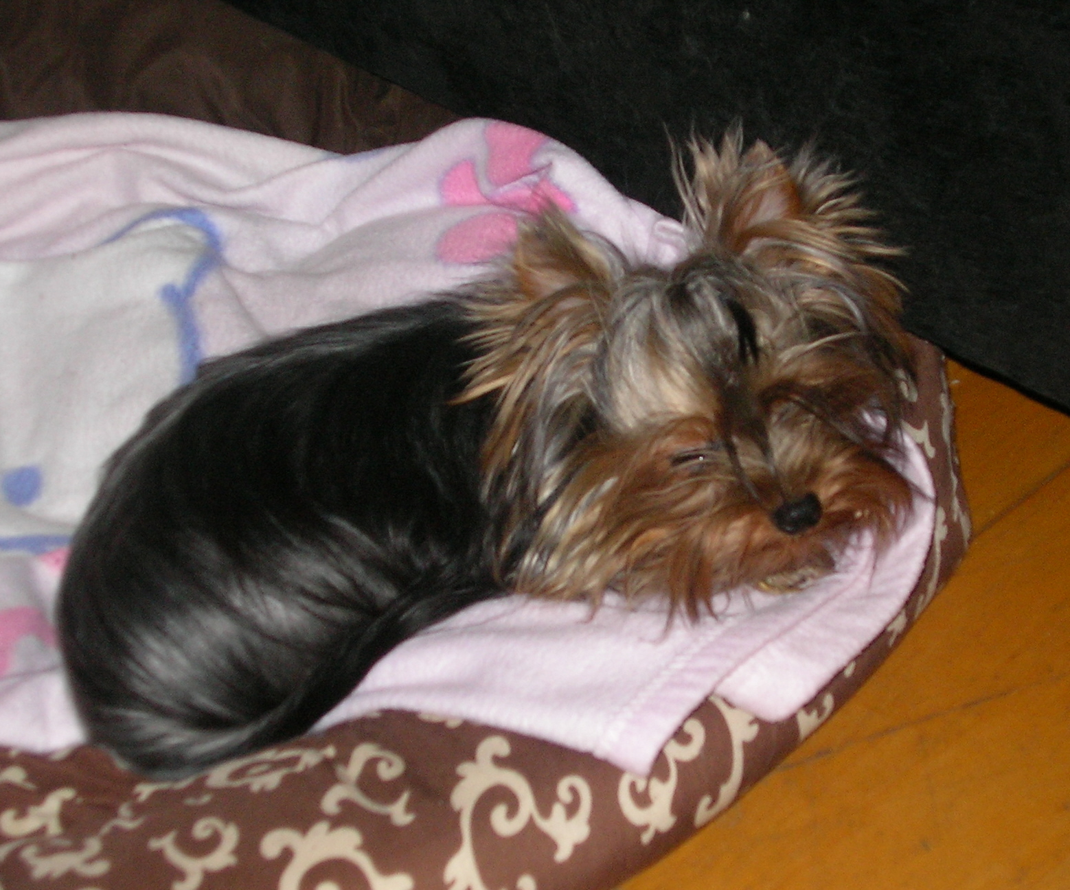 SANY0018