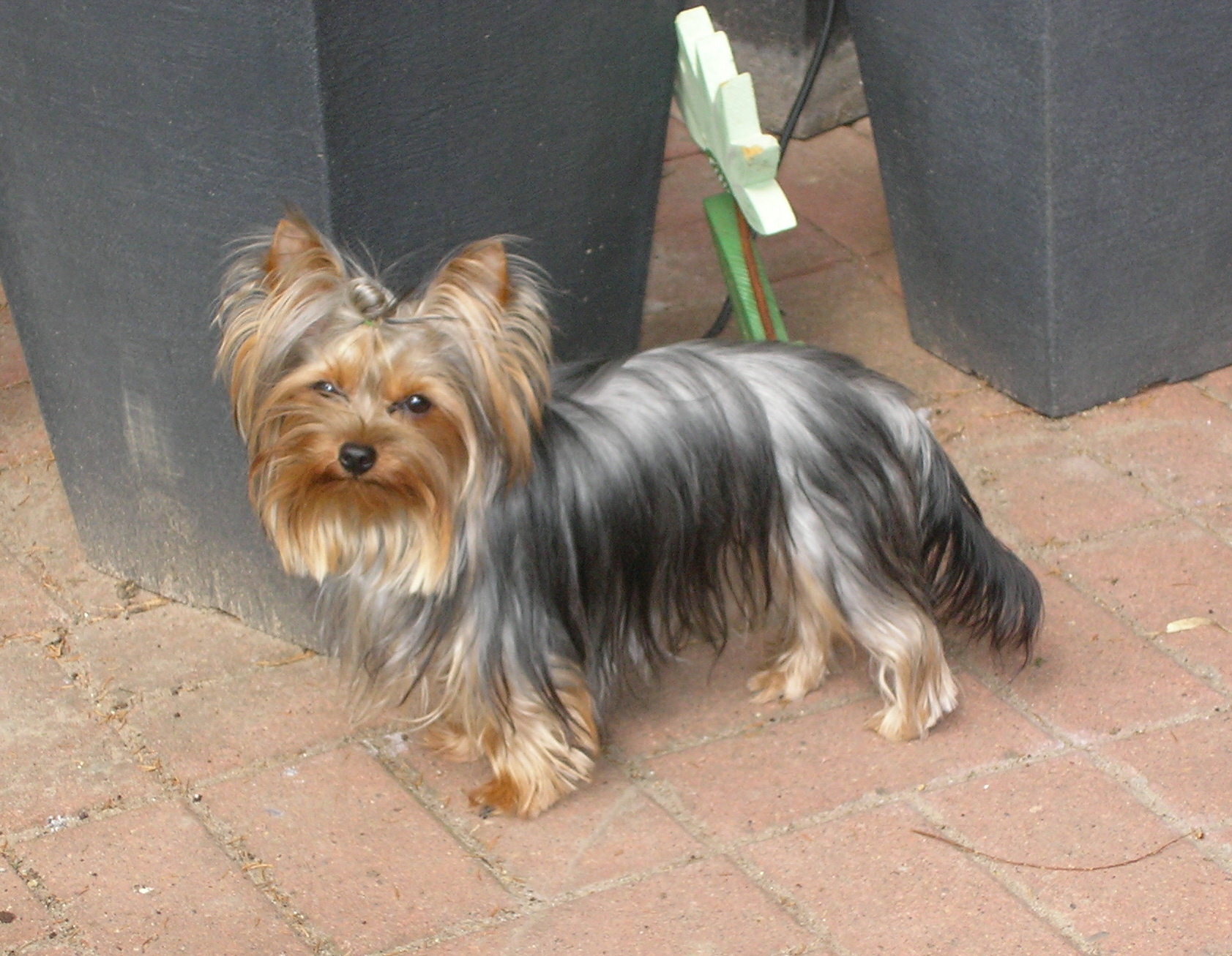 SANY0097
