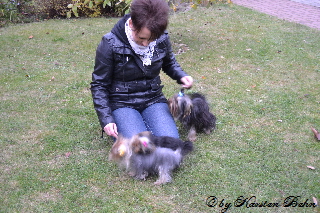 Amigo & Mami